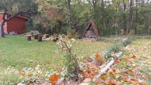 a garden with a play structure in the yard at Faluvégi Vendégház in Cserépváralja