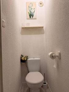 bagno con servizi igienici e una foto appesa al muro di Le Barcarelle a Le Barcarès Altre 7 foto