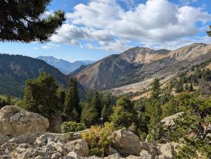 Elle offre une vue sur une vallée montagneuse avec des rochers et des arbres. dans l'établissement Gite Les Sabots De Venus, à Aspres-sur-Buëch