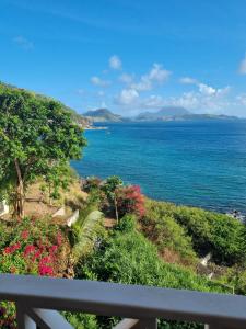 Naturlandskabet i nærheden af lejligheden