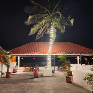 Budova, kde se bed and breakfast nachází + 15 fotografií