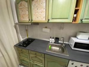 a kitchen with a sink and a microwave at Straja Nest in Lupeni