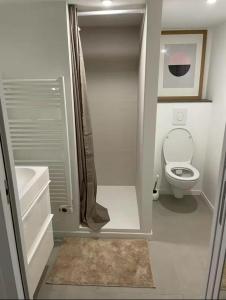 a small bathroom with a toilet and a sink at Superbe 2 pièces refait à neuf idéalement situé in Meung-sur-Loire