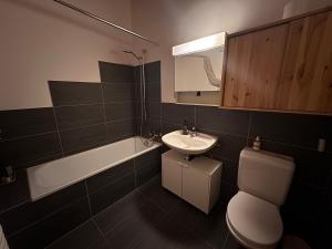 Koupelna v ubytování Big Apartment nearby Interlaken Parking