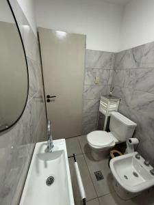 ein Badezimmer mit Waschbecken, Toilette und Spiegel in der Unterkunft Liberty - San Juan in Rivadavia