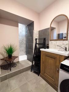 un baño con lavabo y espejo en Les Chambres de MARIE, en Villié-Morgon