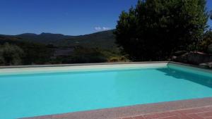 Hồ bơi trong/gần Casale Pievecchia, Santa Fiora