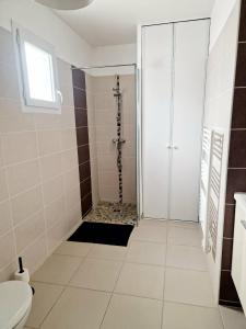a bathroom with a shower and a toilet at Villa Cosy T5, Calme avec Jacuzzi XL in Nîmes +9 photos