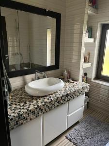 a bathroom with a sink and a mirror on a counter at Vila Liana in Stana +11 photos