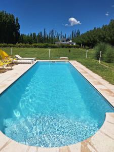 a swimming pool with blue water in a yard at Cabañas Terruños de Pilar in Malargüe