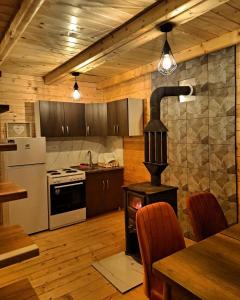 a kitchen with a woodburning stove in a room at Evergreen cabins Golija in Golija
