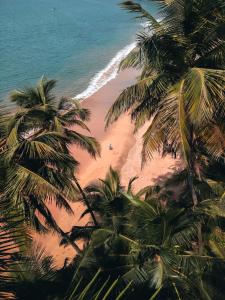an aerial view of a beach with palm trees and the ocean at Casa Palolem in Canacona