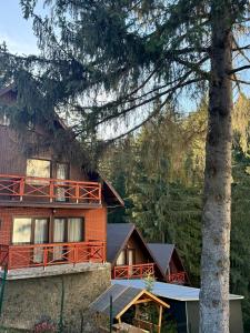 Peisaj natural din apropierea acestei cabane