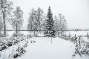 a snow covered park with trees and a lake at White Elegant Suite by the River in Rovaniemi