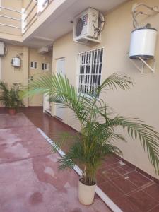 Billede fra billedgalleriet på Jardines del Mar by La Cultura Suites - Boutique Studios Playa del Carmen i Playa del Carmen