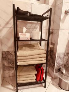 un toallero negro en el baño con toallas en FeWo Haus 9, en Lahr