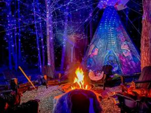 Hosté ubytování Enchanted Forest Cabin And Teepee! Lights & Laser Show! Private Hot Tub! Unique Stay!
