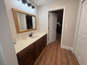 un bagno con lavandino e specchio di Blindfrog a Scottsboro Altre 38 foto