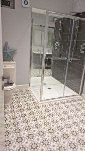 Victorian Suites Apartment في ساوثبورت: حمام مع دش ومرحاض
