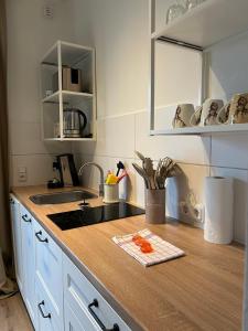 a kitchen with a sink and a counter top at BoLA Ferienwohnung Hamburg 52 ruhig 2 Personen in Hamburg +3 photos