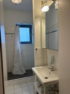a bathroom with a sink and a shower curtain at BoLA Ferienwohnung Hamburg 52 ruhig 2 Personen in Hamburg