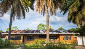 an old house with palm trees in front of it at Hostel Casa de las Palmas Tours in Leticia