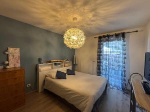 a bedroom with a bed and a chandelier at Appartement cosy et confortable à deux pas du lac in Excénevex