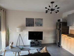 a living room with a couch and a tv at Appartement cosy et confortable à deux pas du lac in Excénevex