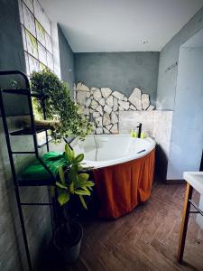 Фотография из галереи Bilocale vista Etna con parcheggio в городе Linera