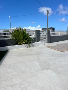 a concrete patio with a fence and plants at Mary's Villas Private Pool In Noord in Noord