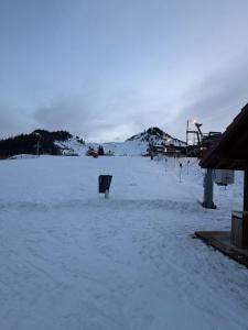 a snowy field with a bench in the snow at Hirmentaz in Bellevaux +1 photo