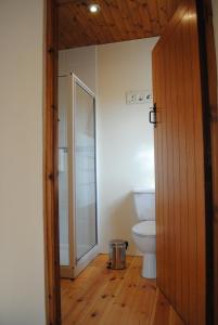 a bathroom with a toilet and a glass shower door at The Castle Bed & Breakfast in Ballintoy
