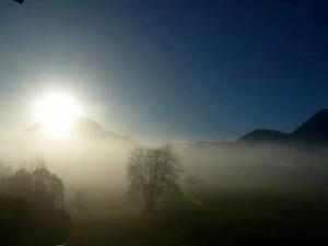 un campo nebbioso con un albero e il sole sullo sfondo di Landhaus Panorama a Reutte