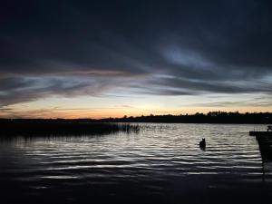 Φωτογραφία από το άλμπουμ του Na domek do Pati σε Przejma Wielka +23 φωτογραφίες