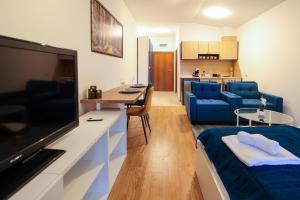 a living room with a large flat screen tv at Blue Nest Studio - Free Parking and Mountain View in Razlog