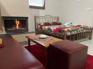 Ένα ή περισσότερα κρεβάτια σε δωμάτιο στο Villa Olympus +17 φωτογραφίες