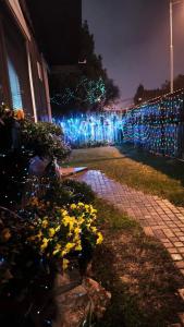 Vườn quanh SOKO Guesthouse & Garden