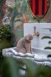 Et eller flere kæledyr der bor med gæster på The Yard Hotel