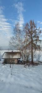 Příroda nedaleko chaty