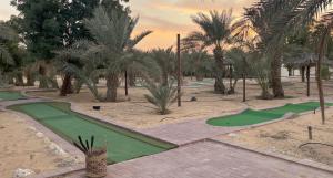 a golf course with palm trees and a putting green at Al Ain Farm Escape with Private Pool , Mini Golf , and Firepit in Bin Aḩmad