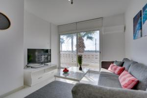 ein Wohnzimmer mit Sofa und Fernseher in der Unterkunft Elisabeth Salt Lake views 200m from Makenzy beach in Larnaka