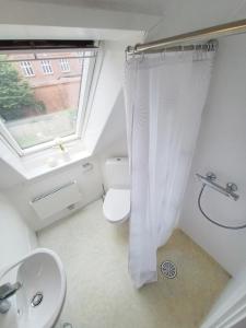 a bathroom with a toilet and a sink and a window at Charming 1-bedroom Apartment A in Hjørring +6 photos