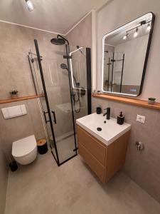 a bathroom with a shower and a toilet and a sink at Fewo Eirich in Günzburg