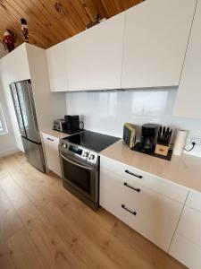 O bucătărie sau chicinetă la Vertigo - Fleuve & Montagnes