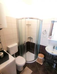 een badkamer met een douche, een toilet en een wastafel bij Lucia&Laura in Turanj