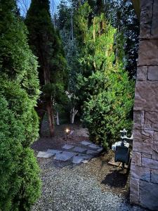 Κήπος έξω από το Spacious Basement with independent entry and yard +2 φωτογραφίες