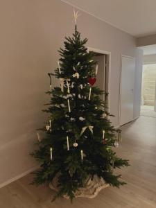 Φωτογραφία από το άλμπουμ του Finnish design villa with outdoor jacuzzi στο Ροβανιέμι +22 φωτογραφίες