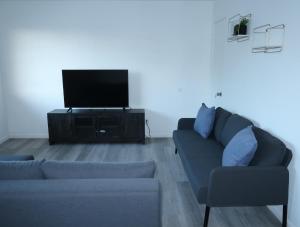 Et tv og/eller underholdning på Cozy Home with Relaxing Backyard