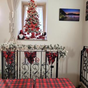 Eva Lake Endine Hospitality في إندين جياناو: غرفة نوم مع شجرة عيد الميلاد في نافذة +38 صورة