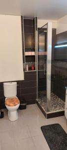 ein Bad mit einem WC und einer Glasdusche in der Unterkunft Charmant 3 pieces 2 chambres et parking in Pontault-Combault